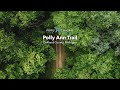 Polly Ann Trail | Pure Michigan Trails