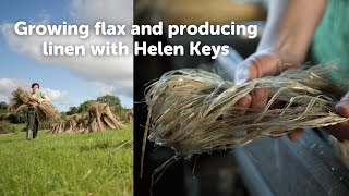 Growing flax and producing linen with Helen Keys, Mallon Linen