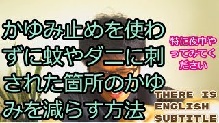 かゆみ止めを使わずに蚊やダニに刺された箇所のかゆみを減らす方法 大宮 整体