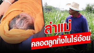 ตามล่าตัวแม่... คลอดลูกทิ้งไว้ในไร่อ้อย โชคดีชาวบ้านผ่านไปเจอ : Khaosod - ข่าวสด