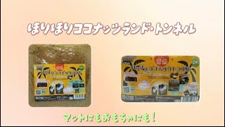 【和泉本店】マットにもおもちゃにもなる！ココナッツランド＆トンネル紹介✨️