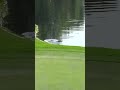 Golf ball BOUNCES out of the water! 🤯