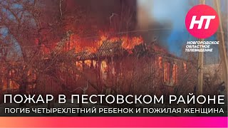 Женщина и ребенок погибли в страшном пожаре в Пестовском районе