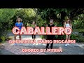 Caballero - Orchestra Mario Riccardi, Senior Fitness, Balance work, Zumba Gold