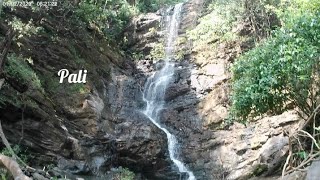 Adventure in Goa Pali falls..