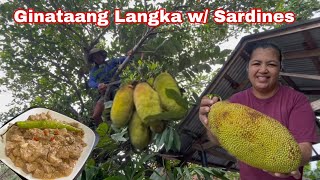 Ginataang Langka na may Sardinas + Nanghingi kami ng mangga kna Tiya Minda