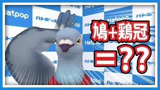 【羽鳥ぽぽぽ】鳩に鶏冠がないのは何で？【第259羽】