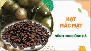 Mắc mật là gì? công dụng và các món ăn siêu ngon từ mắc mật #mónngonmỗingày #côngthứcnấuăn