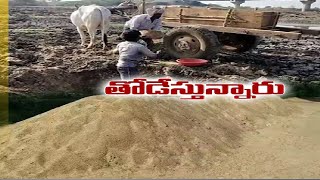 తుంగభద్ర నదీతీరంలో అక్రమ ఇసుక దందా | Illegal Sand Mining Goes Unabted at Jogulamba Gadwal District