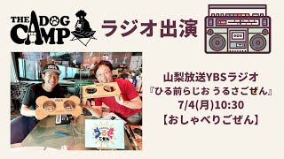 THE DOG CAMPラジオ出演！！山梨放送YBSラジオ『ひる前らじお うるさごぜん』【おしゃべりごぜん】犬とキャンプ 折りたたみフードスタンド