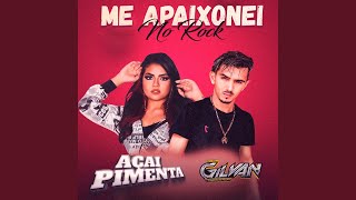 Me Apaixonei no Rock