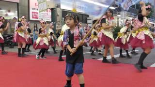 風美踊　沼津仲見世七夕まつり　よさこい＆ダンスナイト