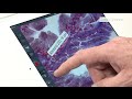 Video Interview: ZEISS Labscope Imaging App