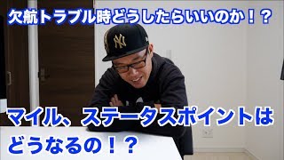 欠航になって振替便の時のマイルは？ステータスポイントは？どうなる！？