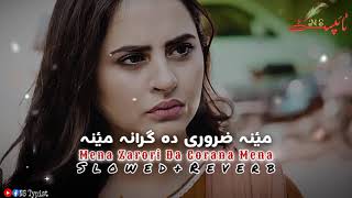 Pashto New Song 2024 (Slowed+Reverb) Mena Zaruri Da Grana Mena