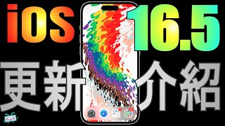 【iOS 16.5】更新介紹---新桌布