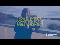 Road to Carbon Neutrality: The Swedish Example