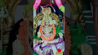 ஸ்ரீ நாகாத்தம்மன் அருள் வாக்கு 9965002017போன் நம்பர் கால் மீ