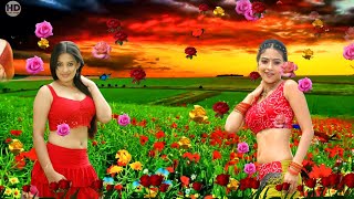 Hamara Dil Aapke Paas Hai | Udit Narayan | Alka Yagnik | Hindi | Romantic Song