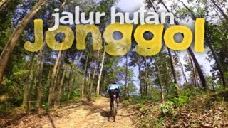 Jalurnya keren‼️Gowes di Hutan Desa Sukanegara Jonggol Bogor