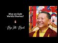 11. What are Eight Worldly Dharmas? | Answers for Students of Buddhism | Ringu Tulku Rinpoche