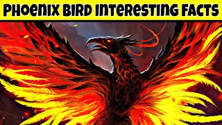 சாகாத வரம் பெற்ற பறவை | Phoenix Bird interesting facts | MersalMathan | பீனிக்ஸ் பறவை | in tamil