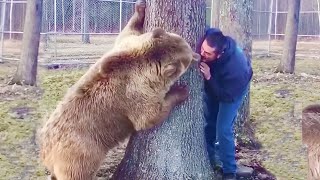 Most Heartwarming Animal Reunions with Humans
