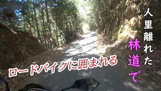 【林道】秩父奥武蔵グリーンライン完全走破へ【ツーリング】