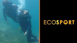 La increíble experiencia de bucear en Lago Moreno (Argentina) | Eco Sport