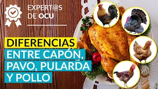 Diferencias de sabor y precio entre: pularda, capón, pavo o pollo