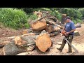 stihl ms660 ported with westcoast barkbox