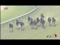 20241221 競馬ﾚｰｽﾄﾋﾟｯｸ　14【1700勝してノリノリ】 24万両賞 t1400 2 5下 ライラ