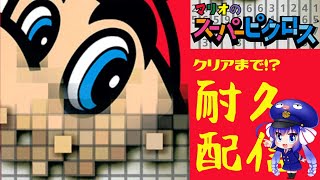 【耐久】ひたすらマリオのスーパーピクロス