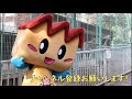 キノピーチャレンジ 【第1弾】