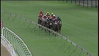 20190303 Greyville express clip Race 7 won by MOON IN JUNE