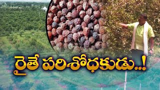 వ్యవసాయంతోపాటు పరిశోధనలు చేస్తోన్న రైతు | Farmer Doing Research Along with Agriculture | Idisangathi