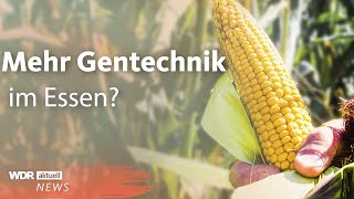 Gentechnik: Mehr genetisch veränderte Lebensmittel in Europa? | WDR aktuell