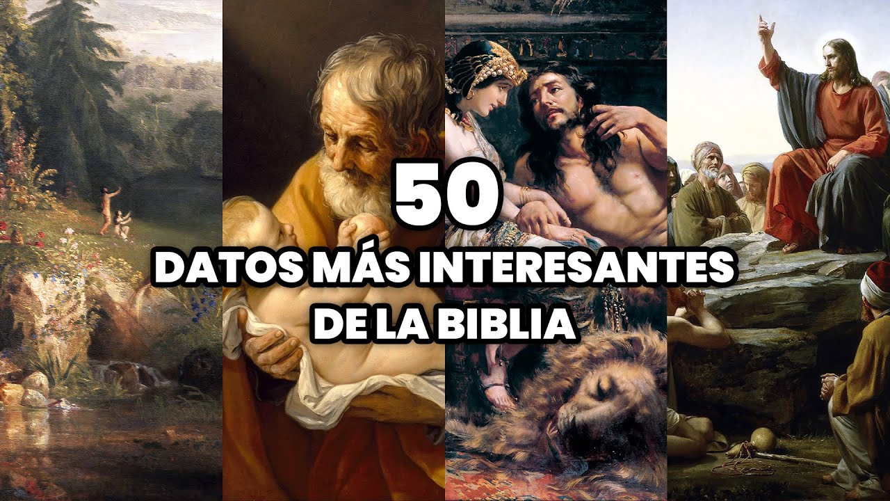 Los 50 Datos Mas Interesantes De La Biblia Curiosidades De La Santa