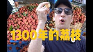 Just ate a 1,300 year old Lychee! 95% of Americans have never even tried Lychees.