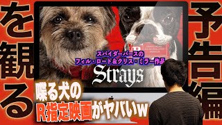 【予告編を観る】『スラムドッグス』/ 『Strays』~スパイダーバースのフィル・ロード ＆ クリス・ミラー製作の実写新作がめちゃくちゃ面白そう！犬がラリってサイケで、ロックンロールなR指定映画