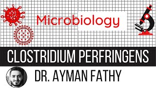 Clostridium perfringens  -USMLE Step 1 Microbiology - Dr. Ayman Fathy