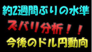 約2週間ぶりの水準、今後のドル円動向分析！！投資TUBE・投資顧問アイリンクインベストメント・FX