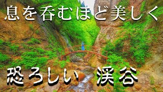 【山形 紅葉川渓谷】まるで宮崎駿の世界観！ 息を呑む程美しく恐ろしい… 面白山の面白い渓谷でチルビア