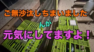 2024/12/26 春レースに向けてコツコツ準備してます…。の巻