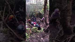 pendakian mistis horor👻👻#gunung indonesia#short#