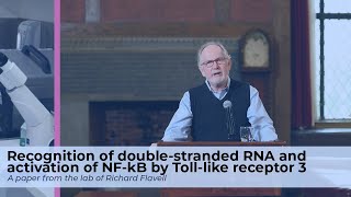 Richard Flavell, Double Stranded RNA \u0026 the Activation of NF-B by Toll-Like Receptor 3