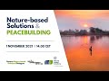 Nature-based Solutions and Peacebuilding | Geneva Nature-based Solutions Dialogues