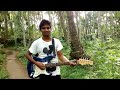 mhojea deva ft. unicorn evrest @isalilnaik goan song 2017