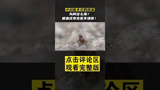 Pt2/3 常见的3大吸血生物，水蛭爬满后背疯狂嗜血，头皮发麻！#船长动物园 #生物 #知识科普 #shorts