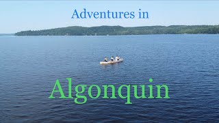 Adventures in Algonquin